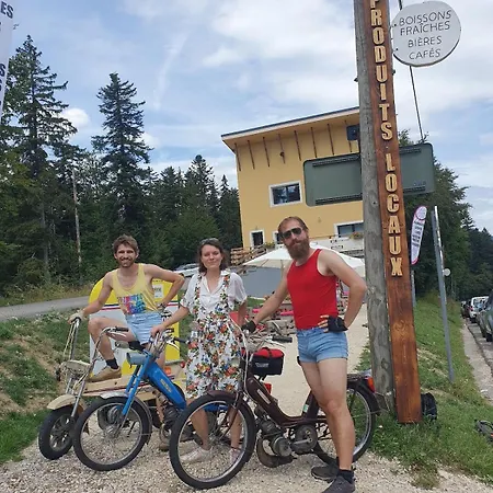 Jaune La Cachette